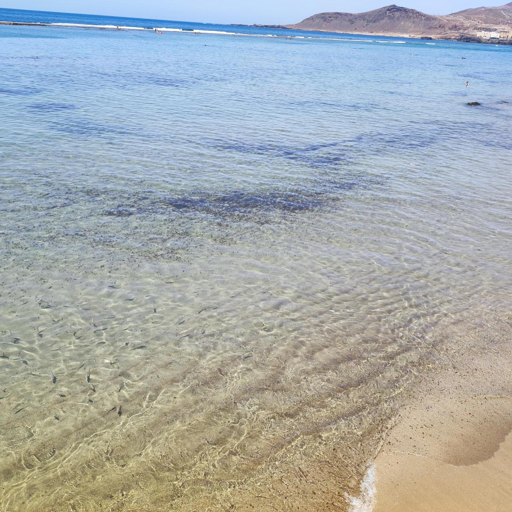 Mirlo Canteras Лас-Пальмас-де-Гран-Канария Экстерьер фото